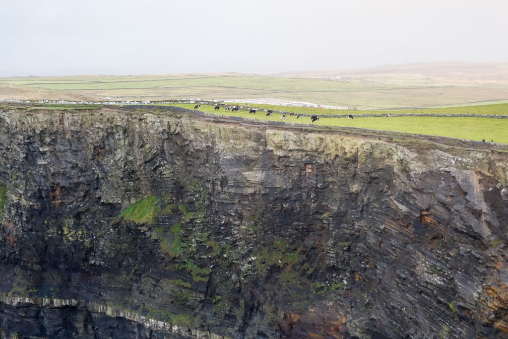 Western Ireland, Cliffs of Moher