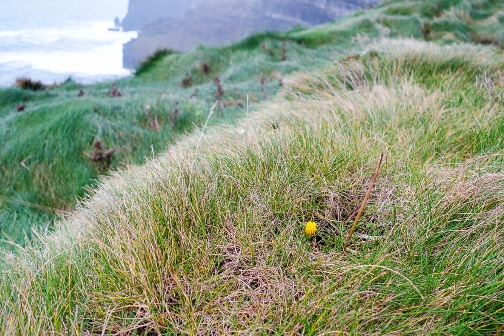 Western Ireland, Cliffs of Moher