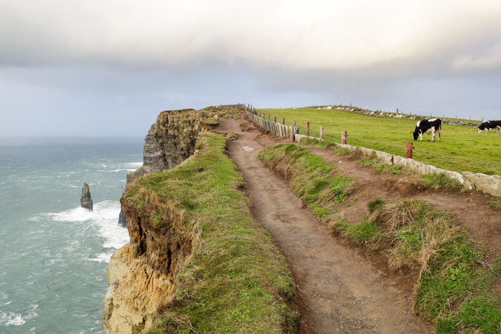 Western Ireland, Cliffs of Moher