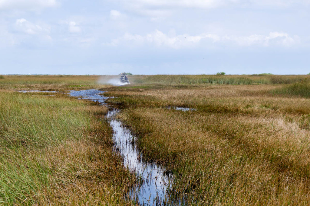 Florida, Everglades National Park