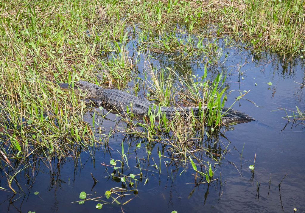 Florida, Everglades National Park