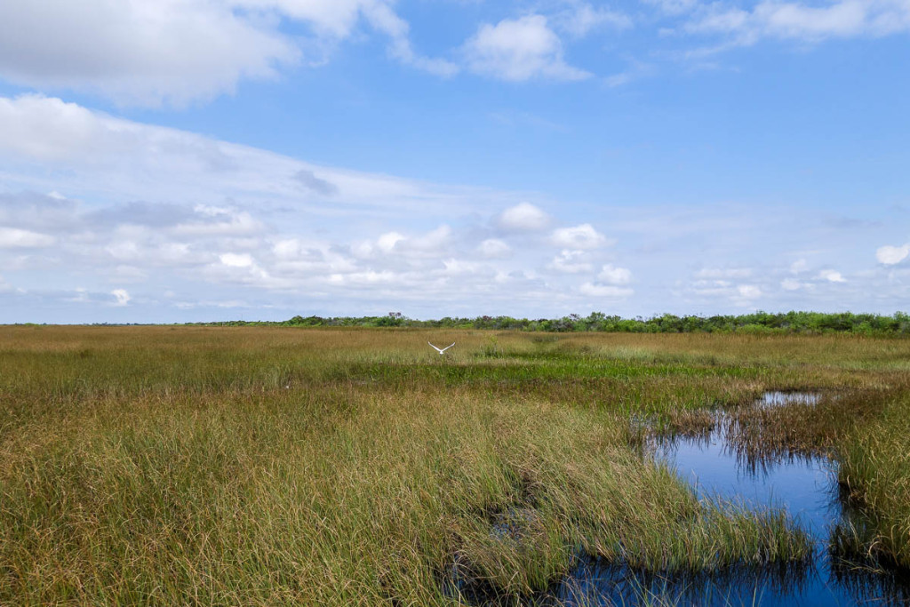 Florida, Everglades National Park