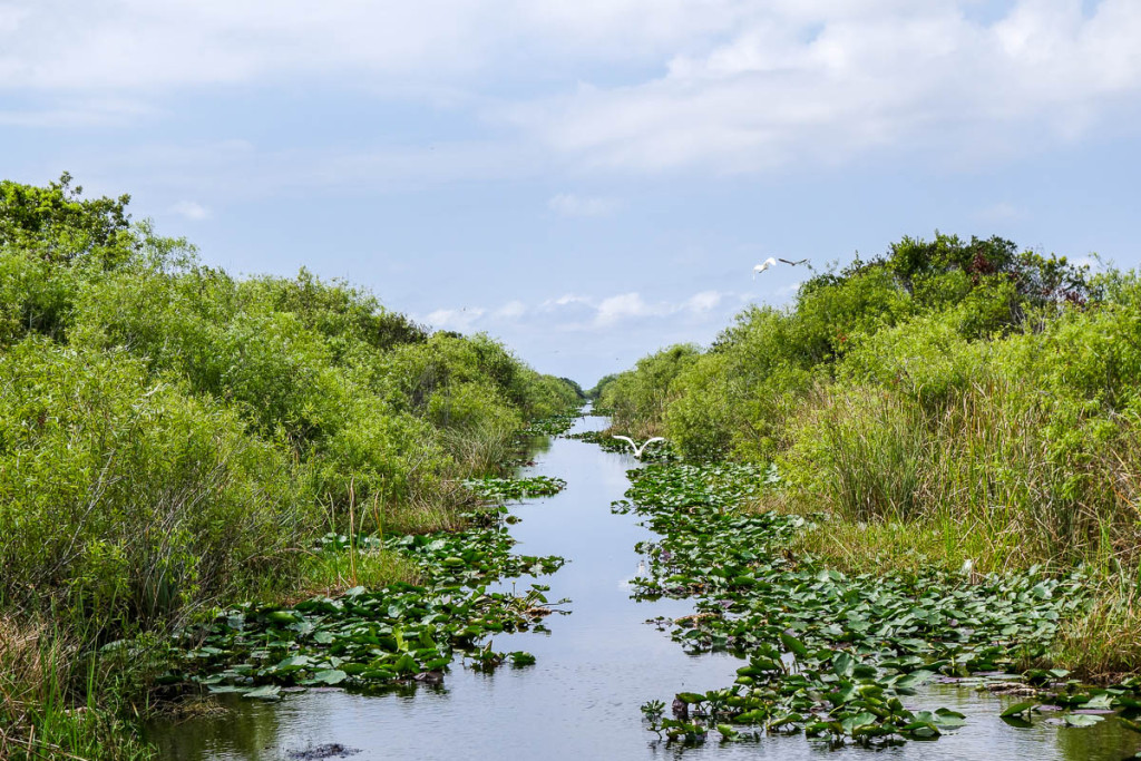 Florida, Everglades National Park