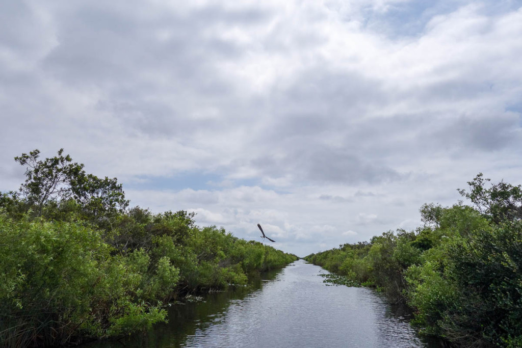 Florida, Everglades National Park