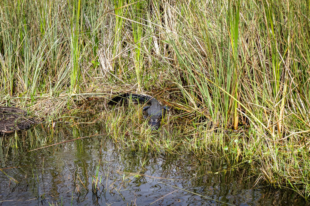 Florida, Everglades National Park