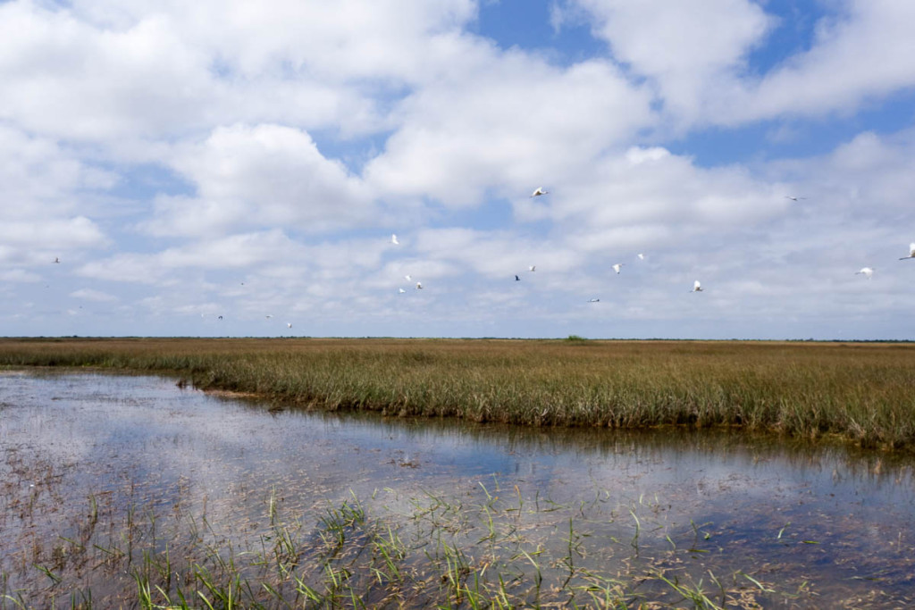 Florida, Everglades National Park