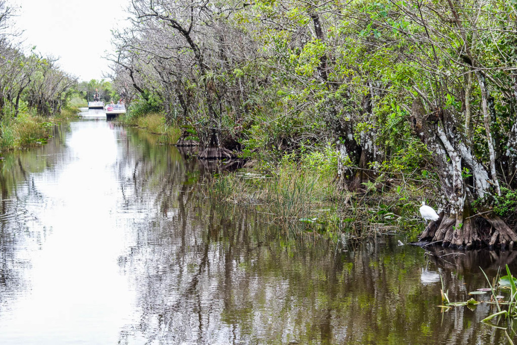 Florida, Everglades National Park