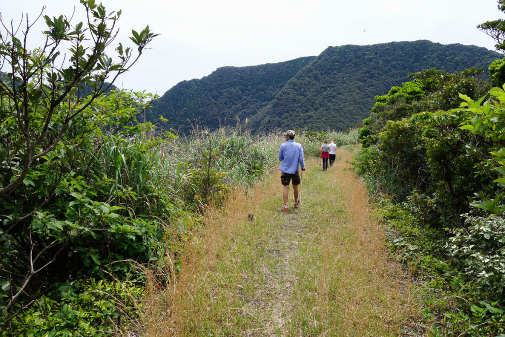 aogashima-island-japan-25