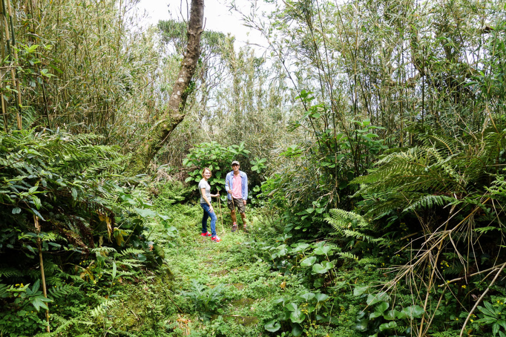 aogashima-island-japan-22