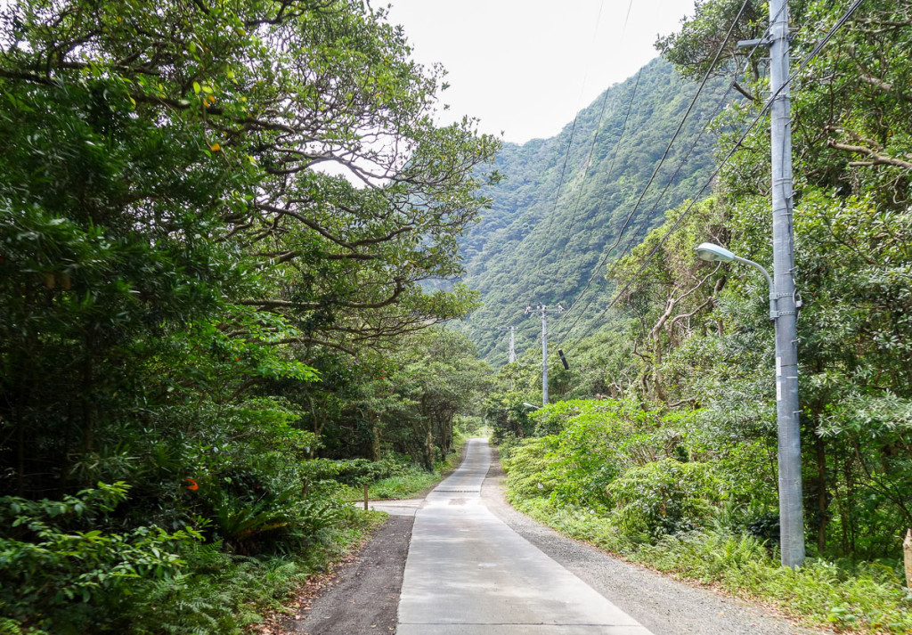 aogashima-island-japan-16