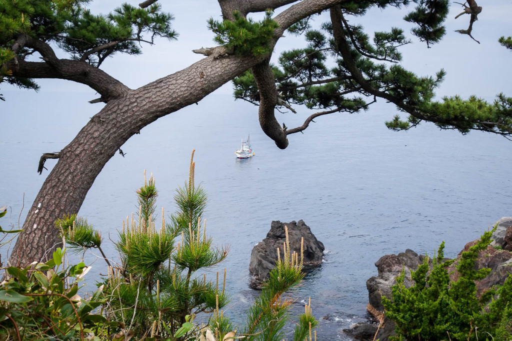 izu-japan-22