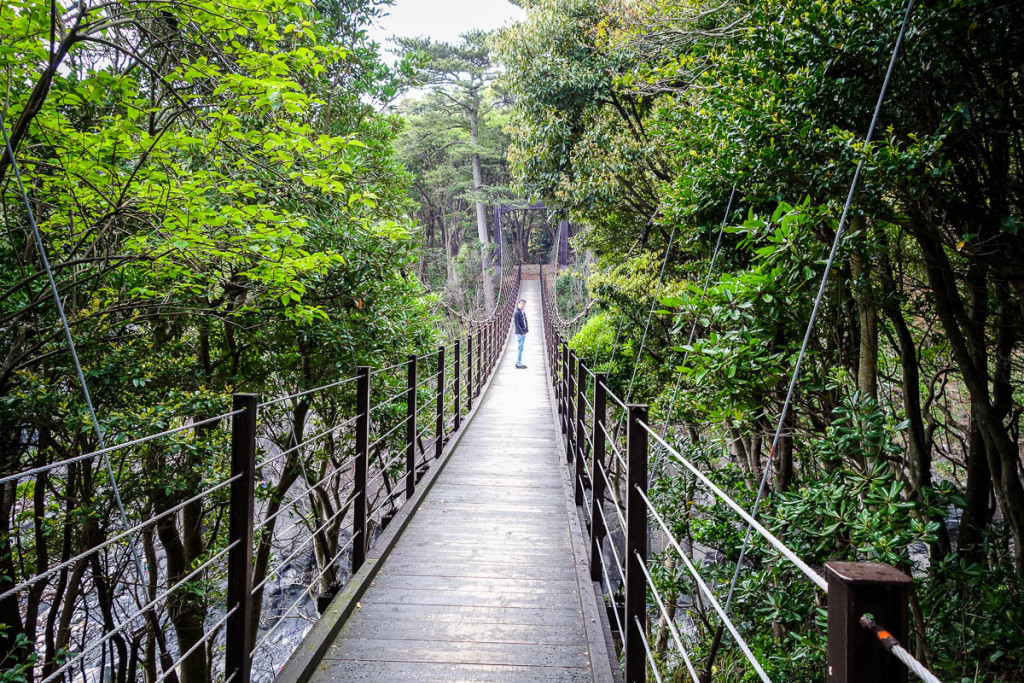 izu-japan-9