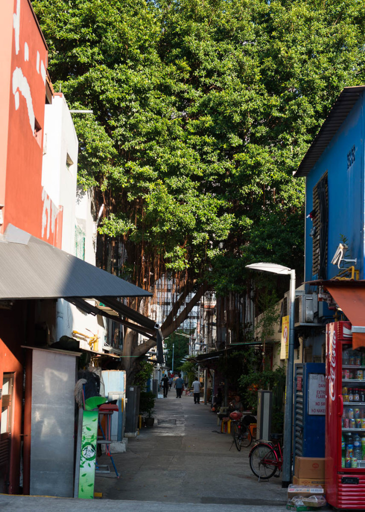 chinatown-singapore-10