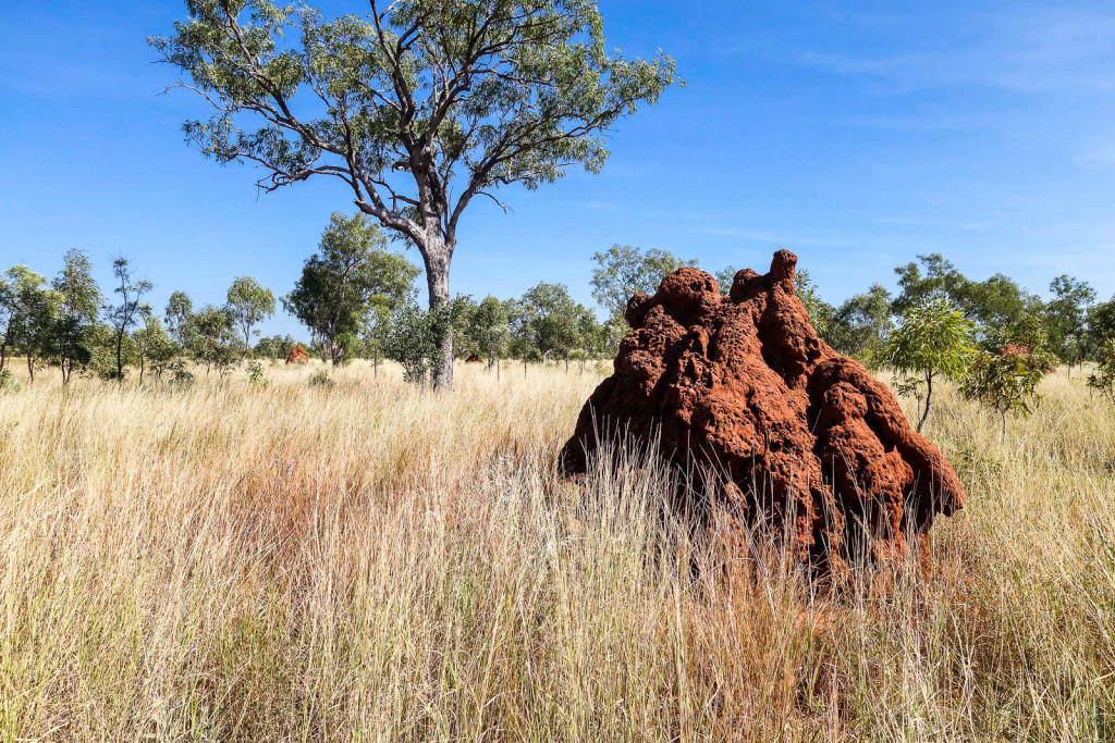 kimberley-australia-11