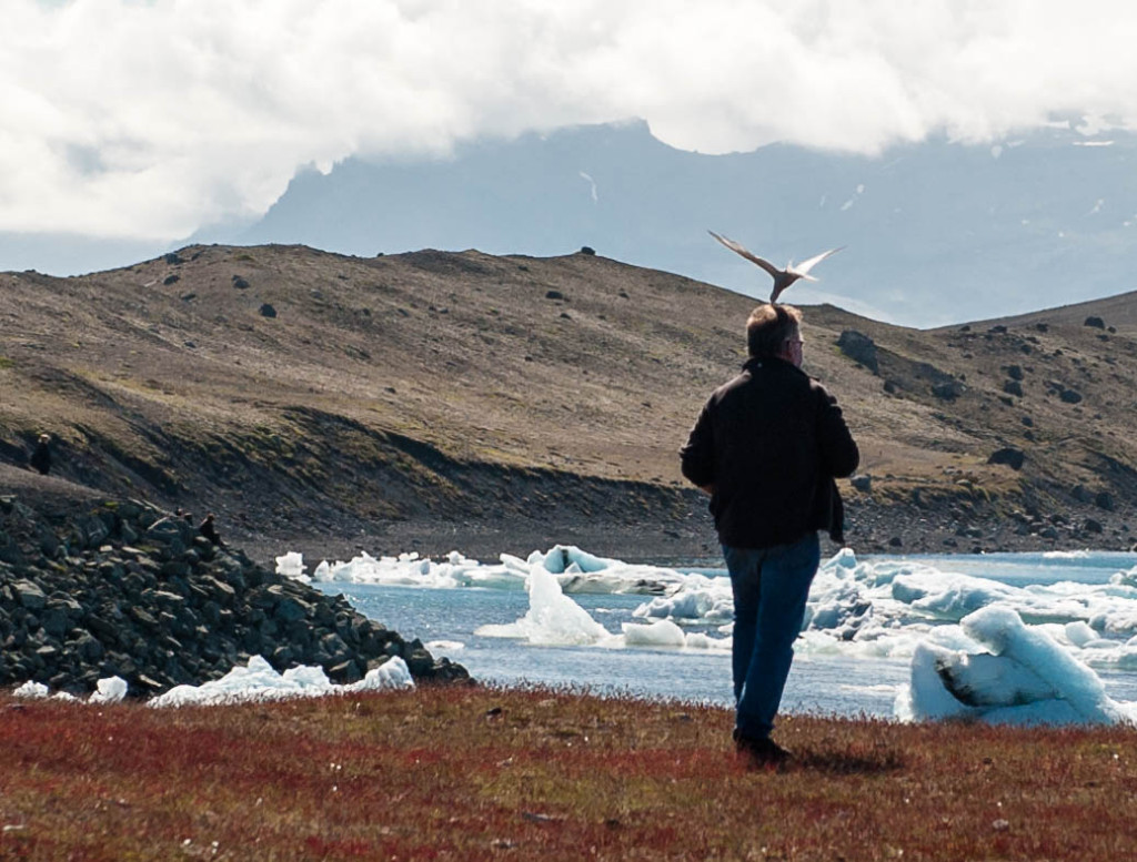 Vatnajökull glacier, Iceland