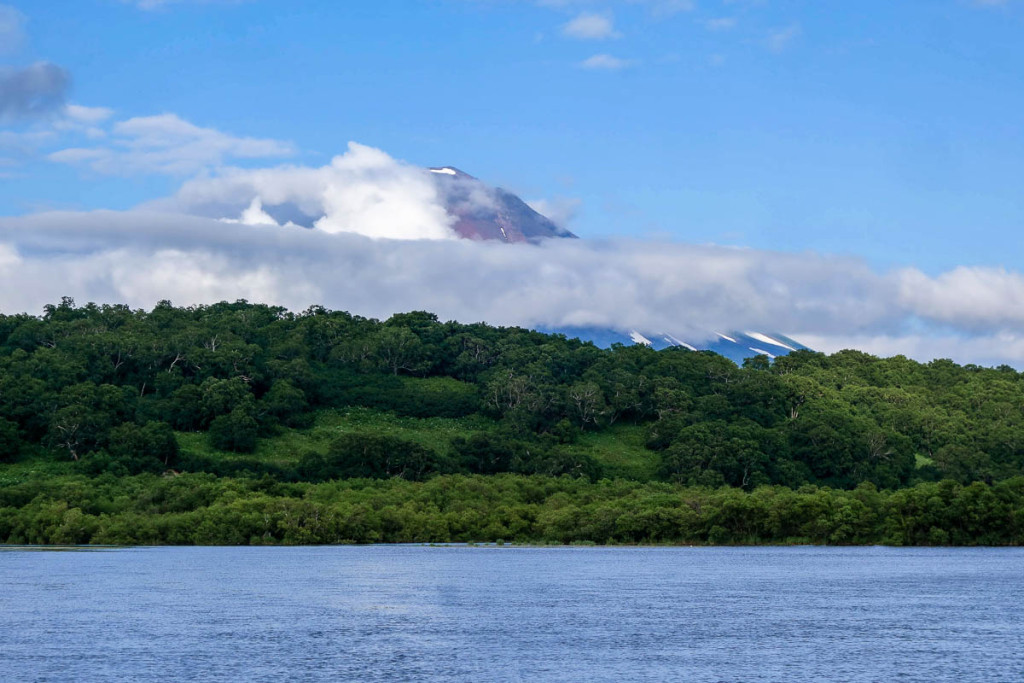 kamchatka-bears-67