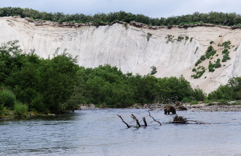 kamchatka-walk-with-bears-28