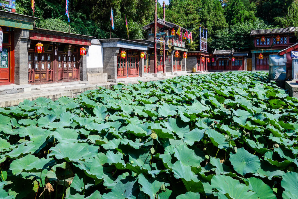 beijing-china-palace-4