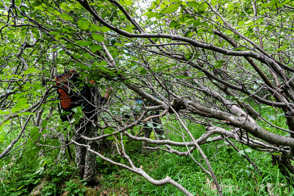 kamchatka-2015-khodutka-hot-springs-18