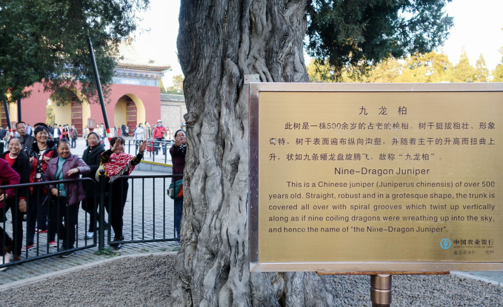 china-temple-of-heaven-9