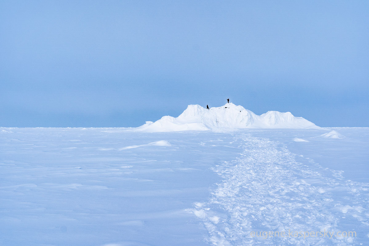 The weather this year is so Bi-Polar 🥶🥵 …Here is a few of my