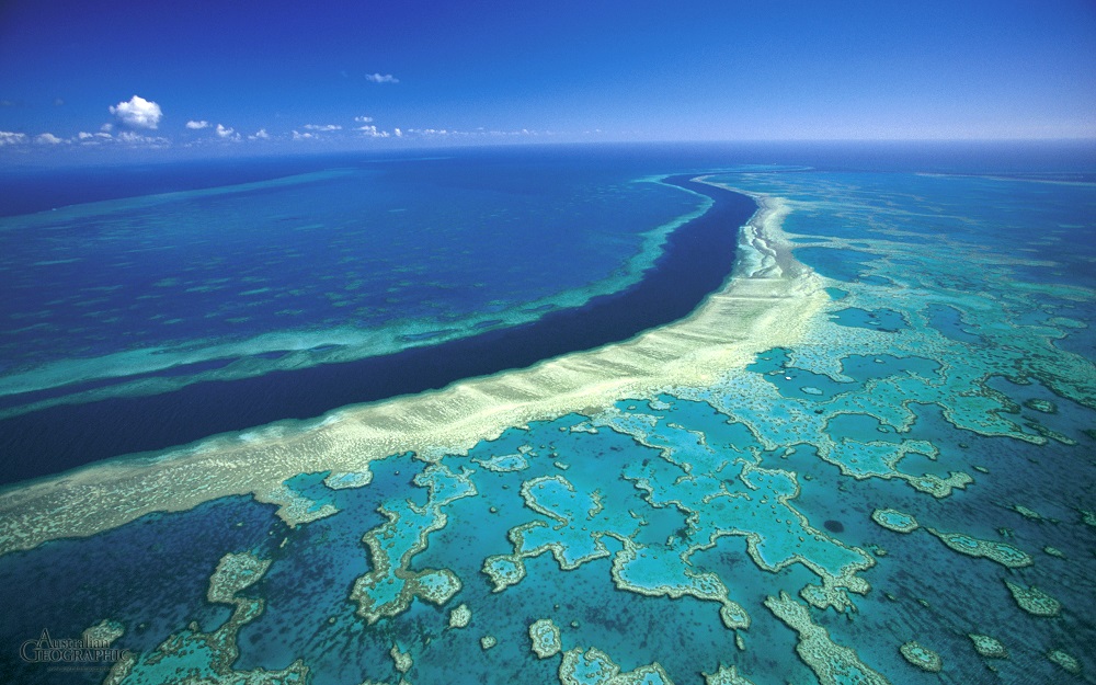 great-barrier-reef