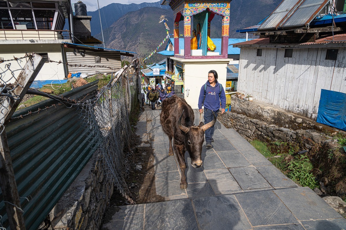 everest base camp trek in june