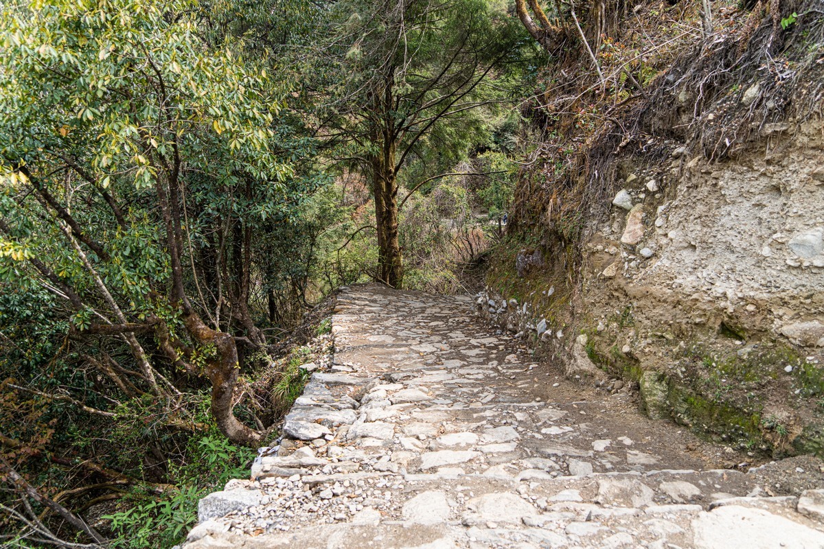 everest base camp trek in june