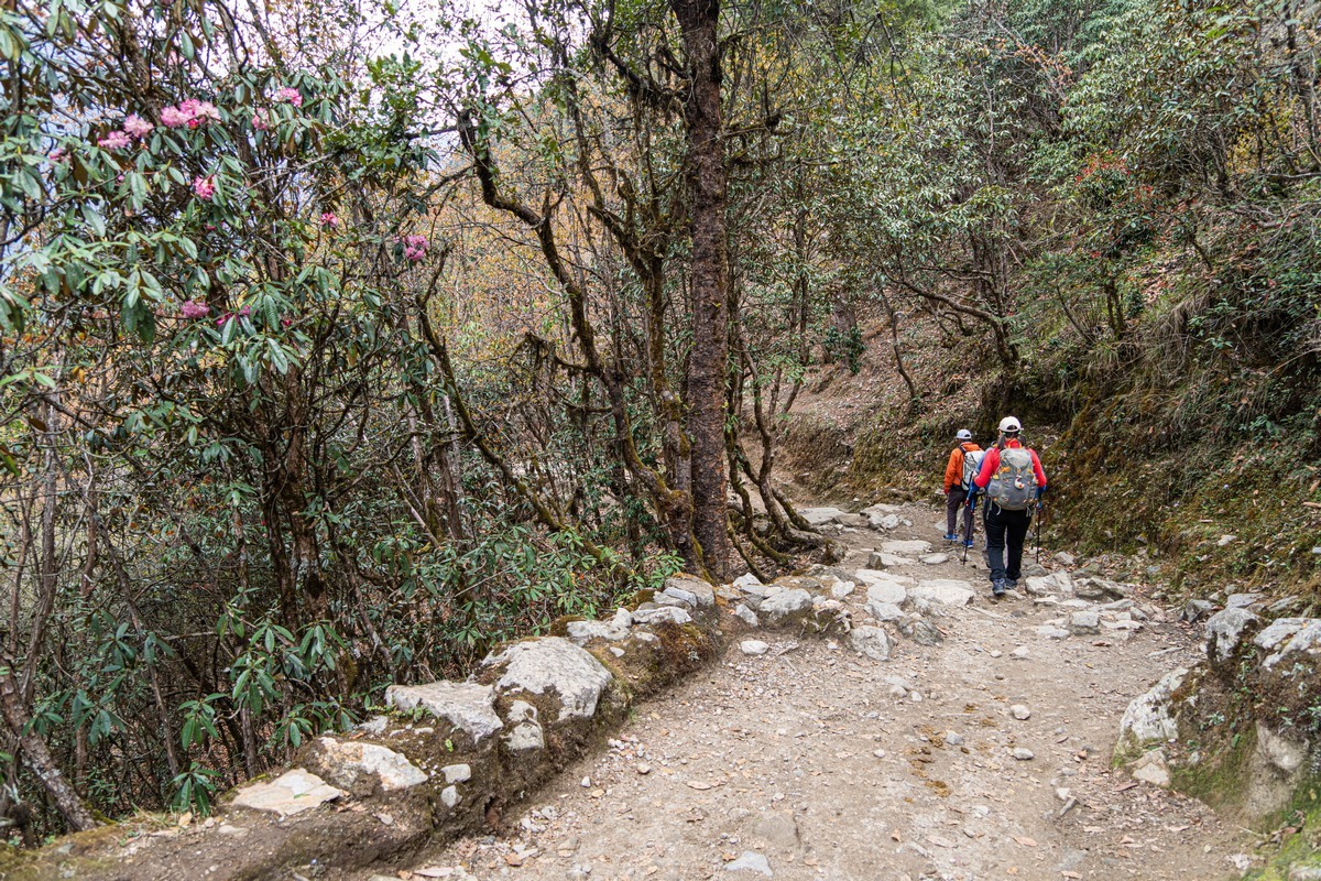 everest base camp trek in june