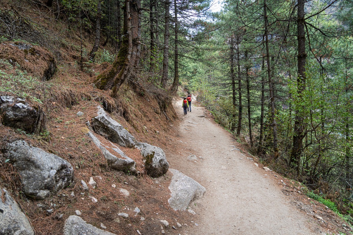 everest base camp trek in june