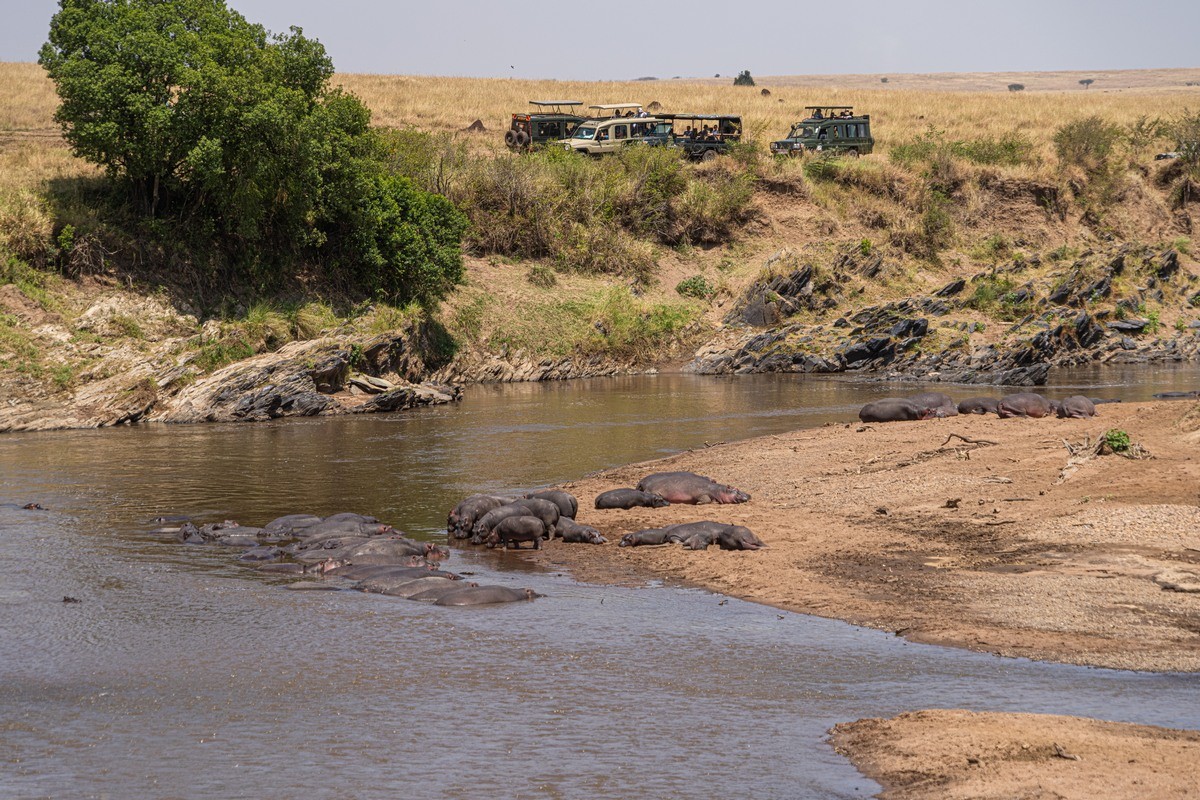 Bringing Clean Water to the Children of the Masai Mara