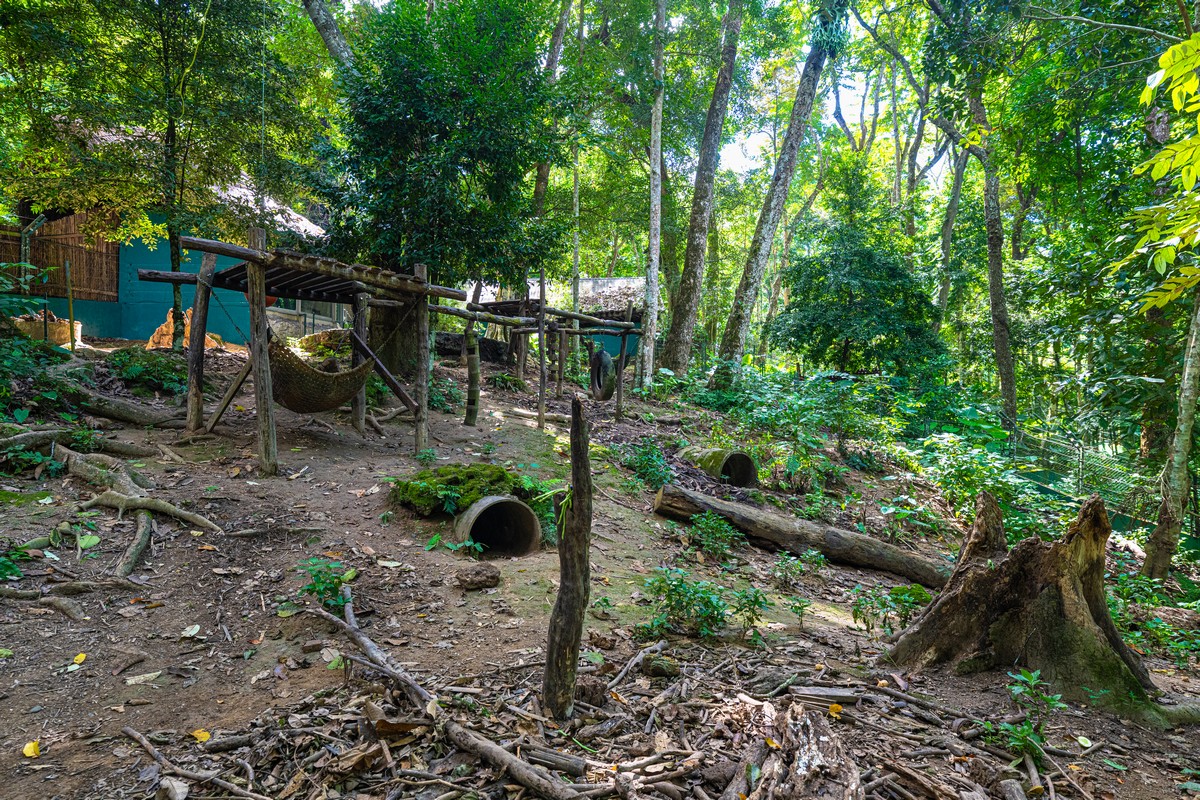 kuang-si-eshhyo-odna-travertinovaya-prichina-posetit-laos-34