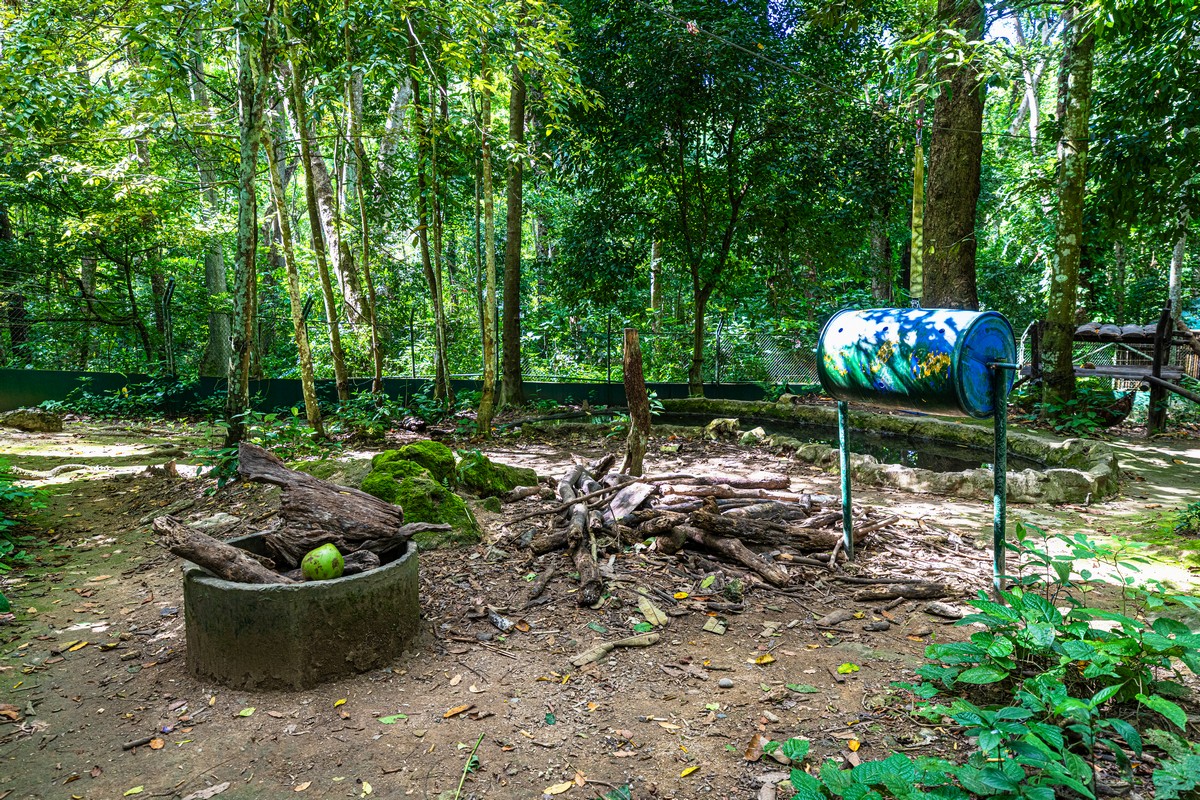 kuang-si-eshhyo-odna-travertinovaya-prichina-posetit-laos-36