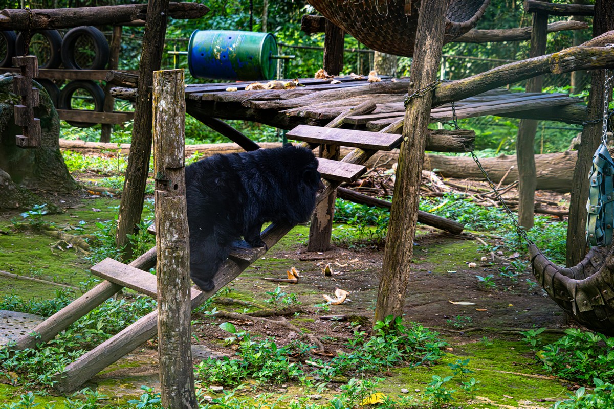 kuang-si-eshhyo-odna-travertinovaya-prichina-posetit-laos-40
